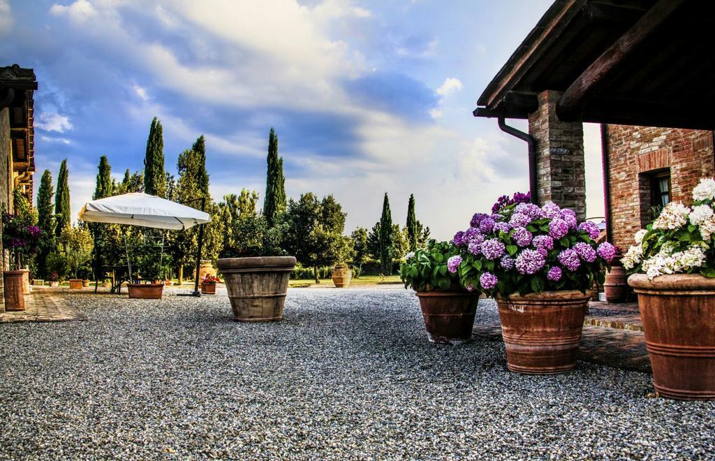 Agriturismo San Pierino Монтероні-д'Арбія Екстер'єр фото