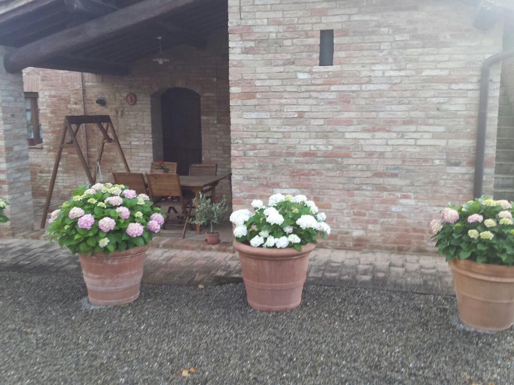 Agriturismo San Pierino Монтероні-д'Арбія Екстер'єр фото