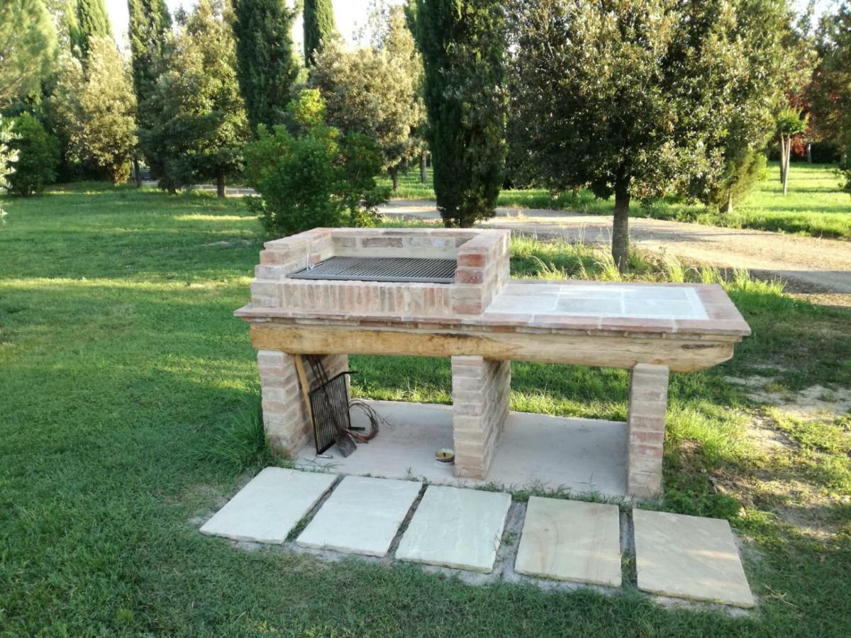 Agriturismo San Pierino Монтероні-д'Арбія Екстер'єр фото